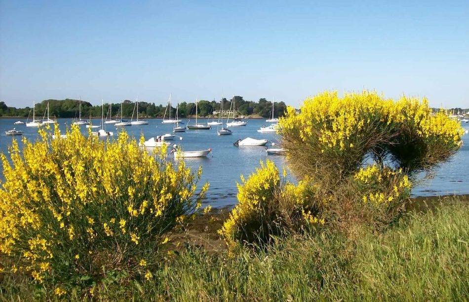 Familles nombreuses : que faire en famille dans le Morbihan ?